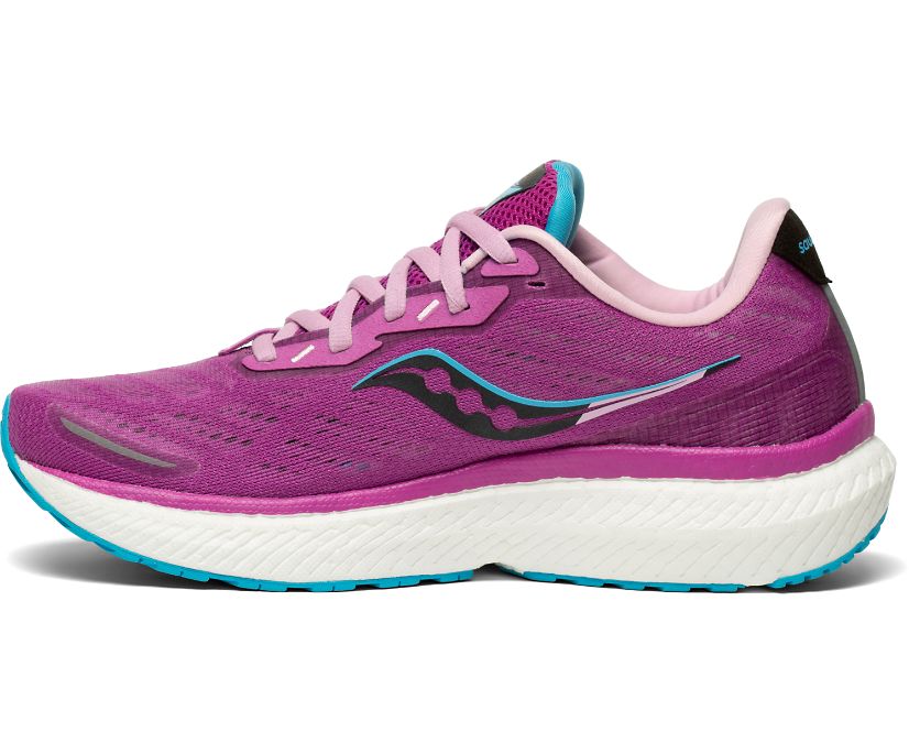 Women's Saucony Triumph 19 Running Shoes Purple | Singapore 205VRWD